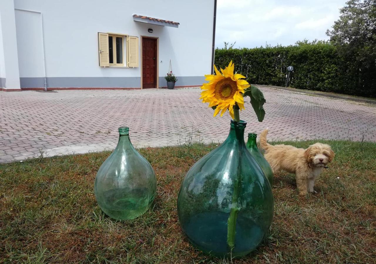 Casa Amrita, Yoga B&B แตราโม ภายนอก รูปภาพ